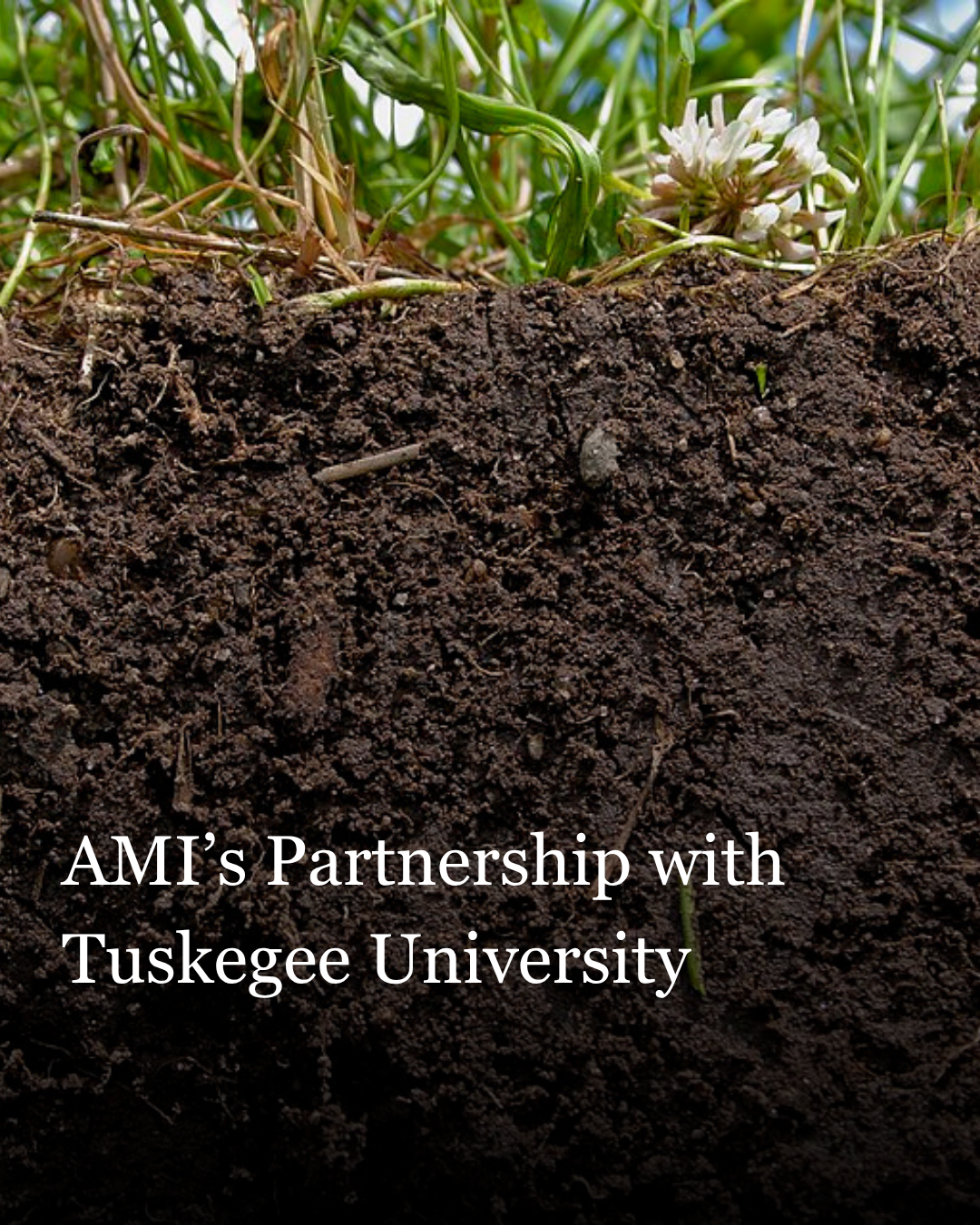 AMI’s Partnership with Tuskegee University